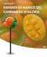 Cannabis Lolly Mango Kush kannabisz nyalóka | 1 db