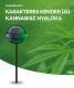 Cannabis White Widow Pops kannabisz nyalóka | 1 db