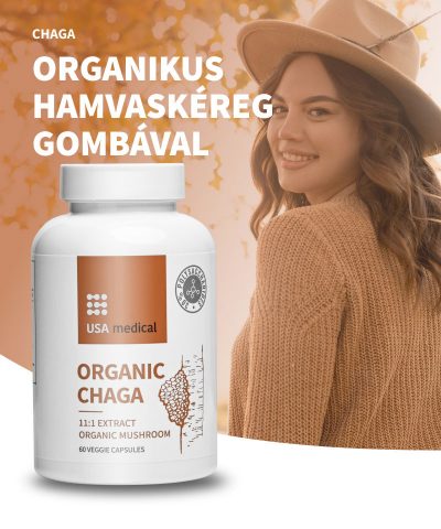   USA medical Chaga | Hamvaskéreg gomba kivonat acerolával | 60 db